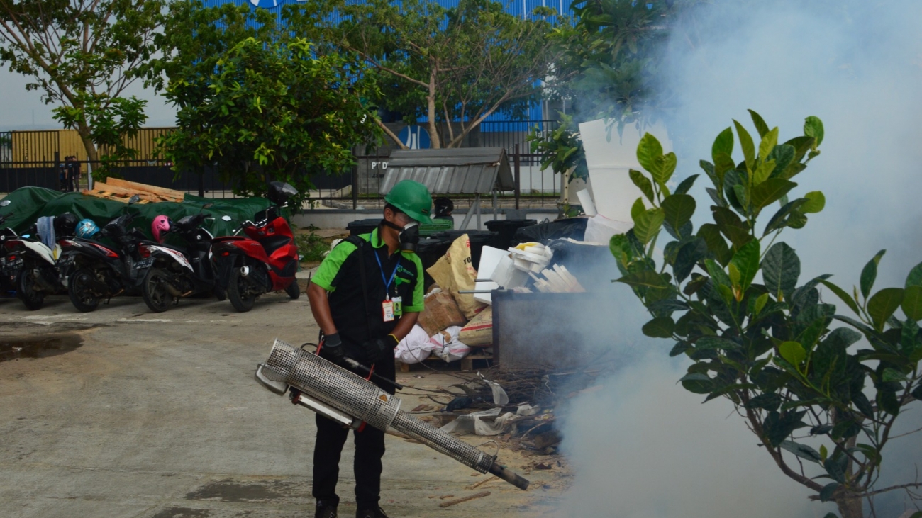 pest control nyamuk
