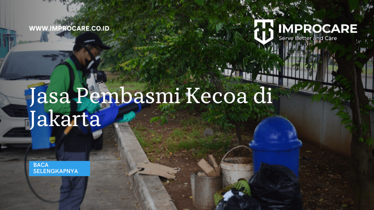 Jasa Pembasmi Kecoa di Jakarta