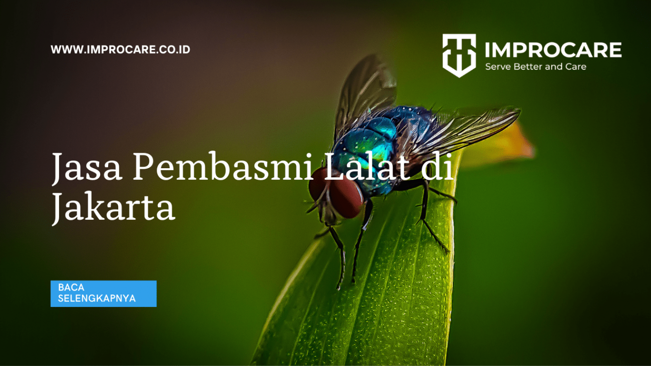 Jasa Pembasmi Lalat di Jakarta