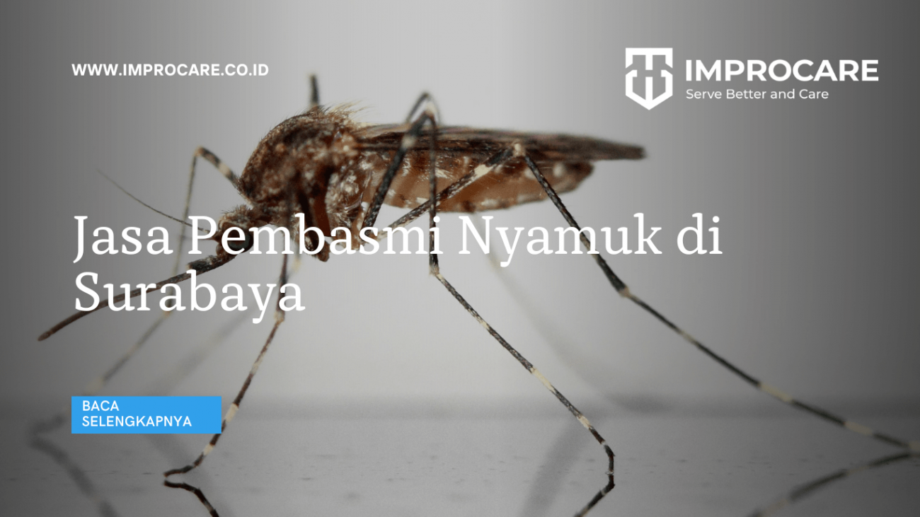 Jasa Pembasmi Nyamuk di Surabaya