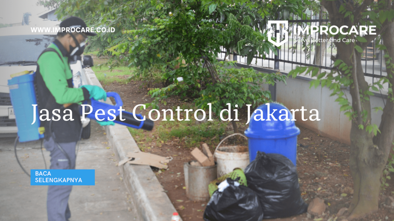 Jasa Pest Control di Jakarta
