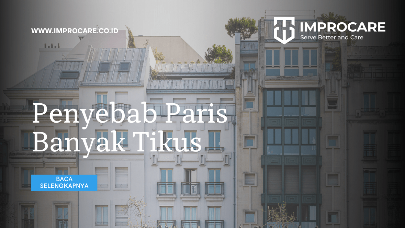 penyebab paris banyak tikus