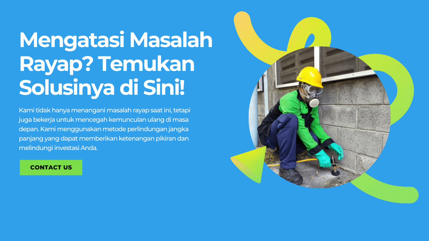 jasa anti rayap