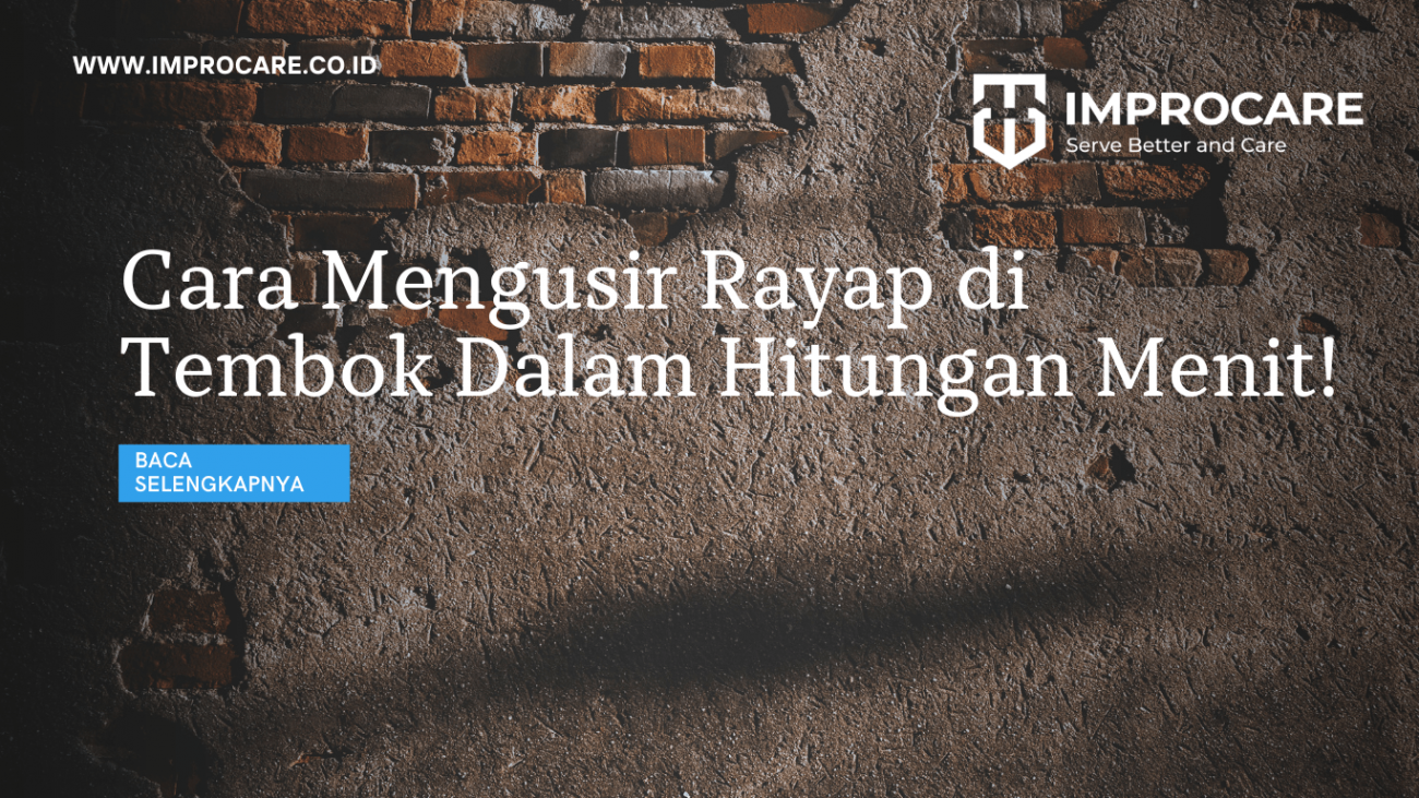 Cara Mengusir Rayap di Tembok