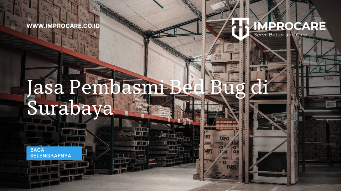 Jasa Pembasmi Bed Bug di Surabaya