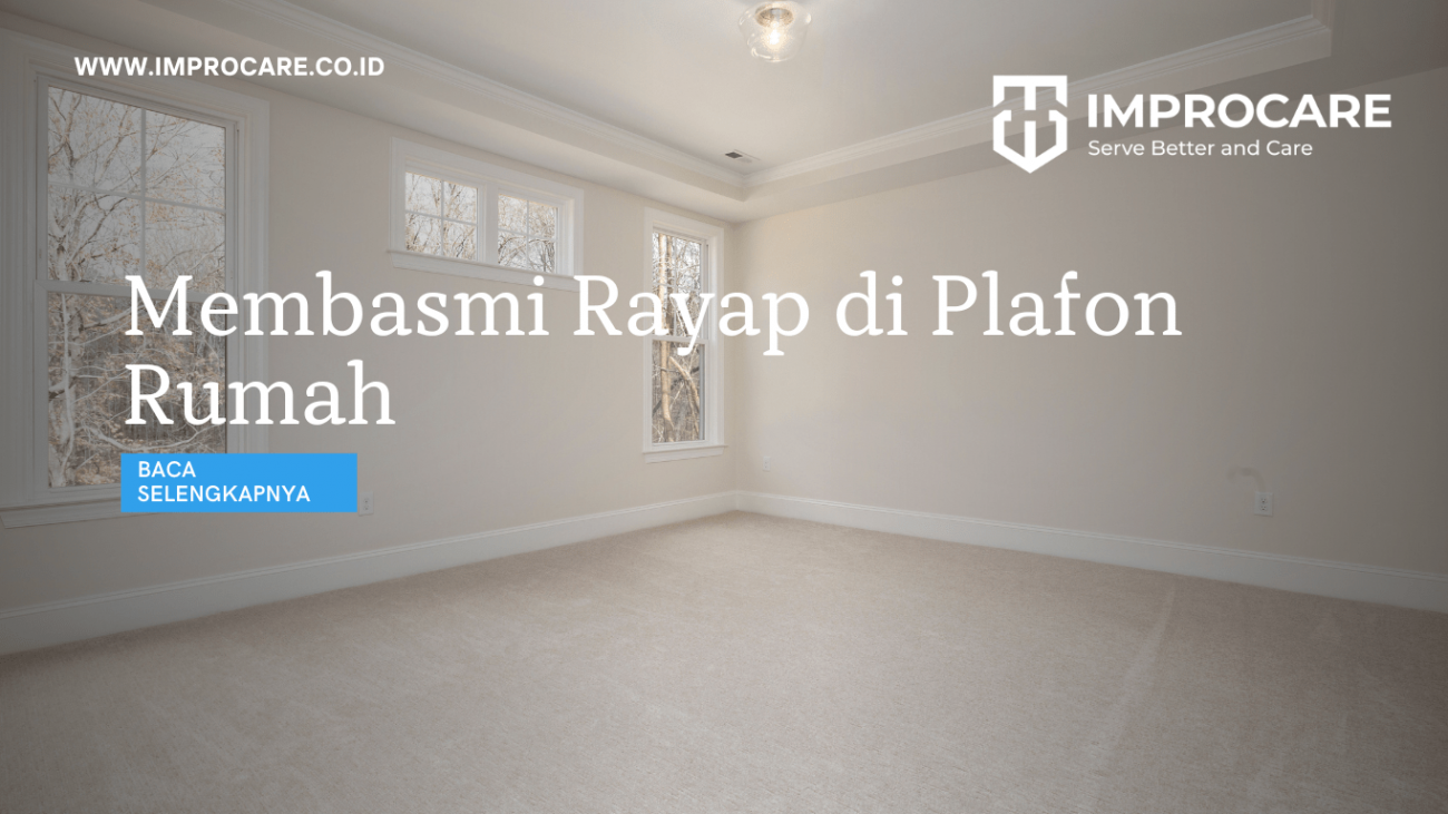 Membasmi Rayap di Plafon Rumah