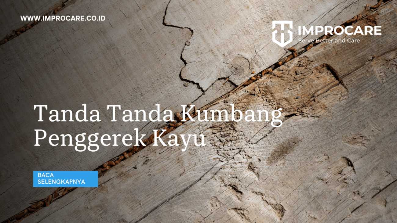 Tanda Tanda Kumbang Penggerek Kayu