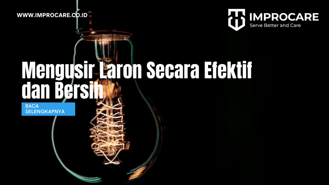 Mengusir Laron Secara Efektif dan Bersih
