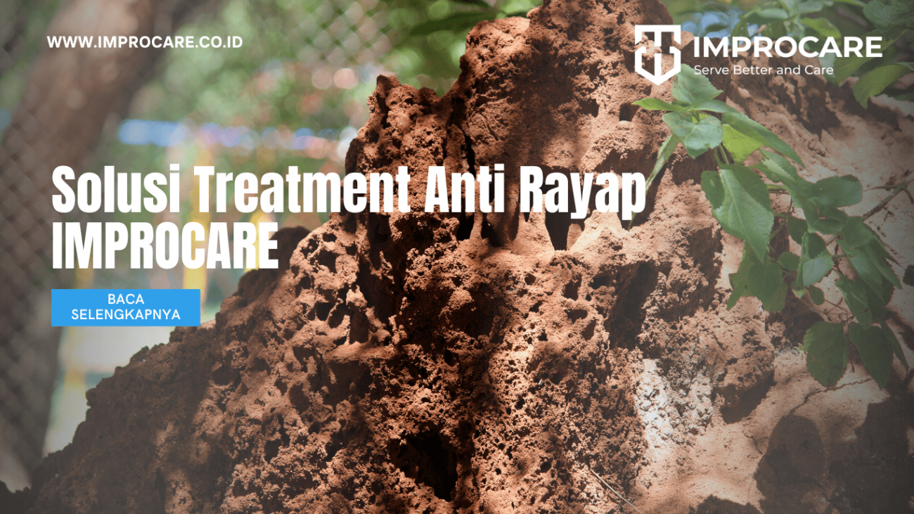 Solusi Treatment Anti Rayap IMPROCARE