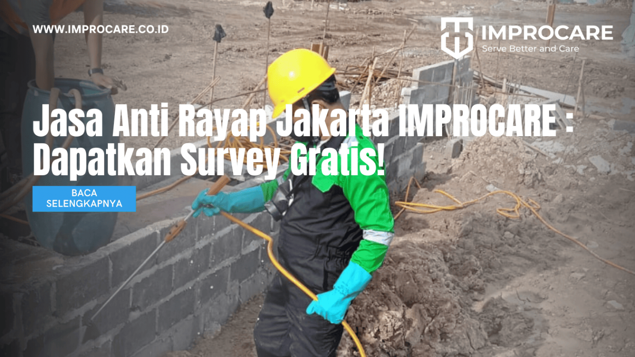 Jasa Anti Rayap Jakarta IMPROCARE : Dapatkan Survey Gratis!