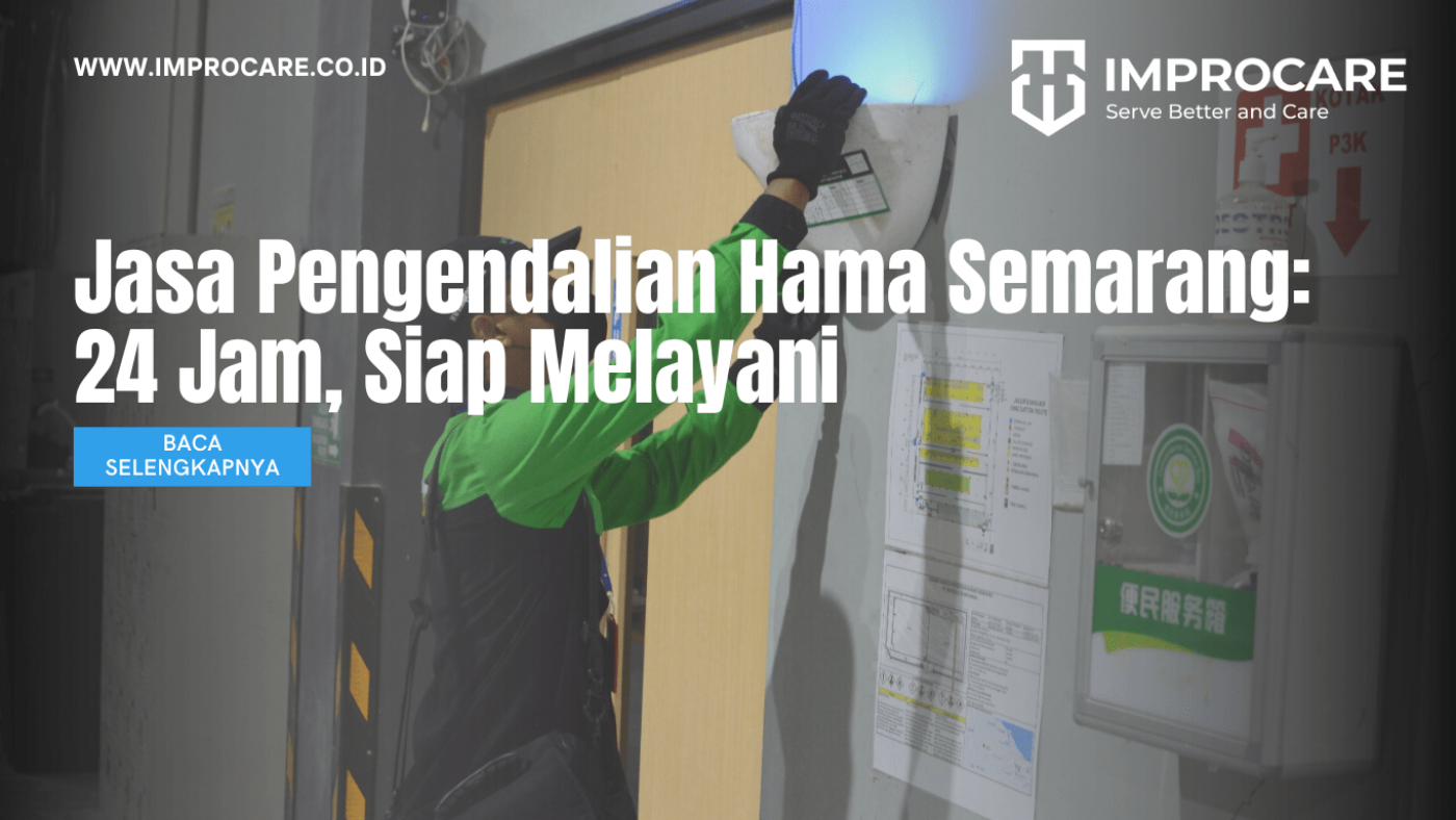 Jasa Pengendalian Hama Semarang: 24 Jam, Siap Melayani