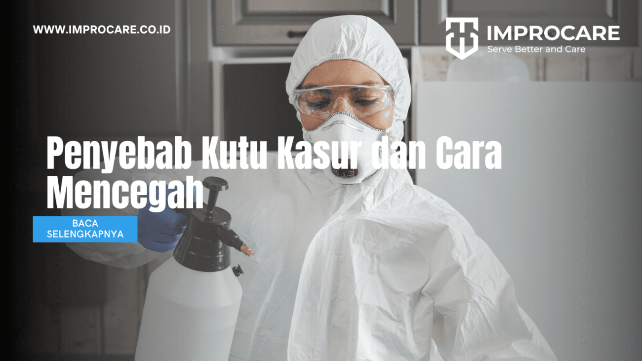 Penyebab Kutu Kasur dan Cara Mencegah