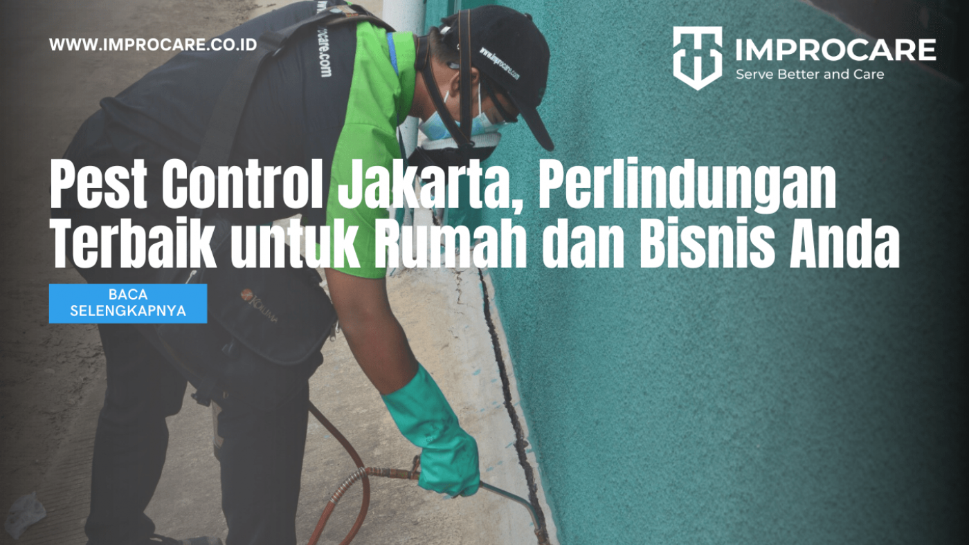 Pest Control Jakarta, Perlindungan Terbaik untuk Rumah dan Bisnis Anda