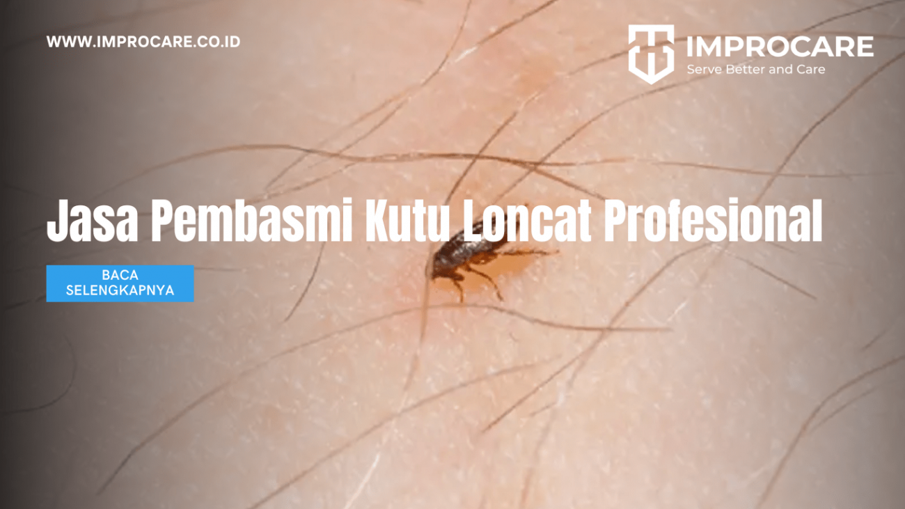 Jasa Pembasmi Kutu Loncat Profesional