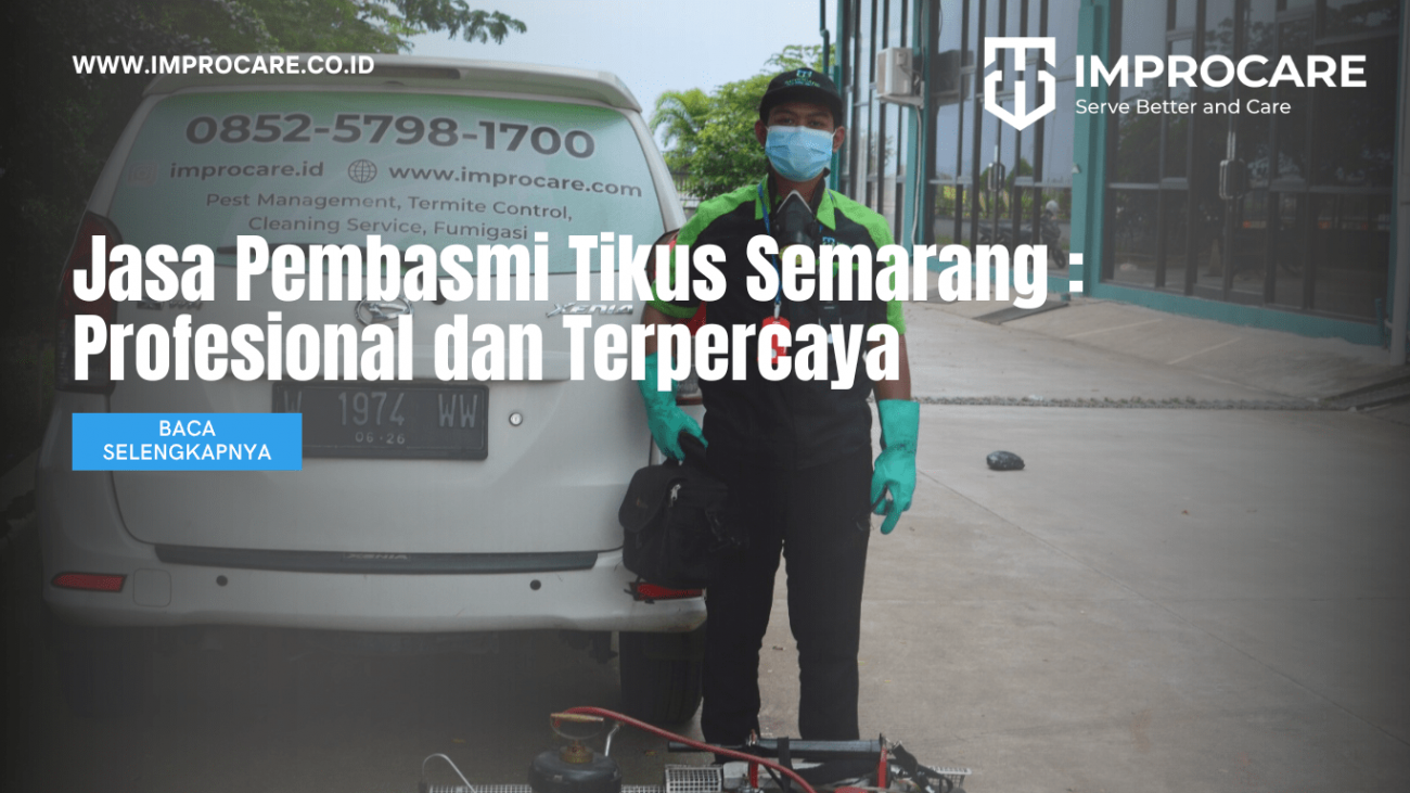 Jasa Pembasmi Tikus Semarang : Profesional dan Terpercaya