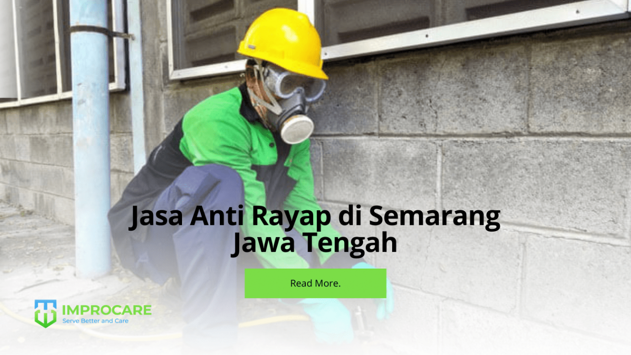 Jasa Anti Rayap di Semarang