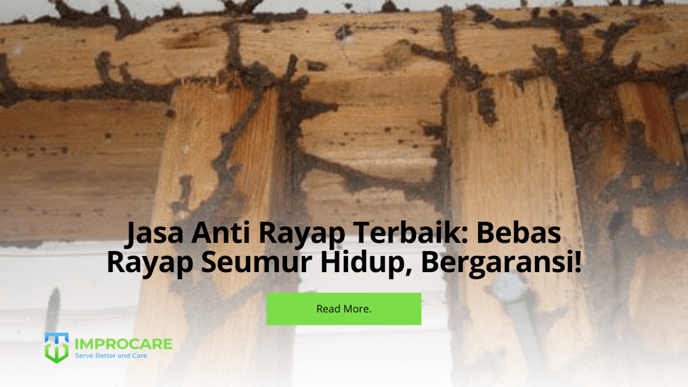 Jasa Anti Rayap Terbaik: Bebas Rayap Seumur Hidup, Bergaransi!