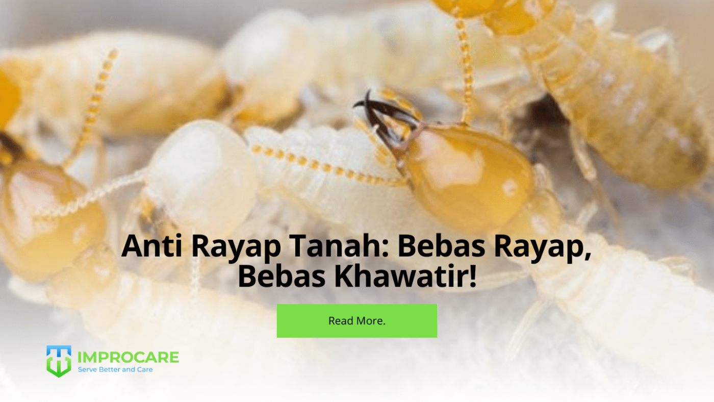 Anti Rayap Tanah