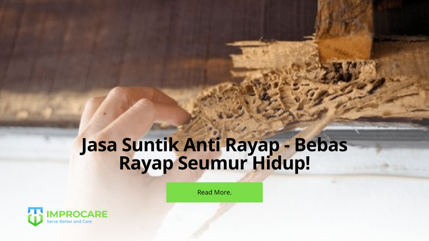 Jasa Suntik Anti Rayap - Bebas Rayap Seumur Hidup!