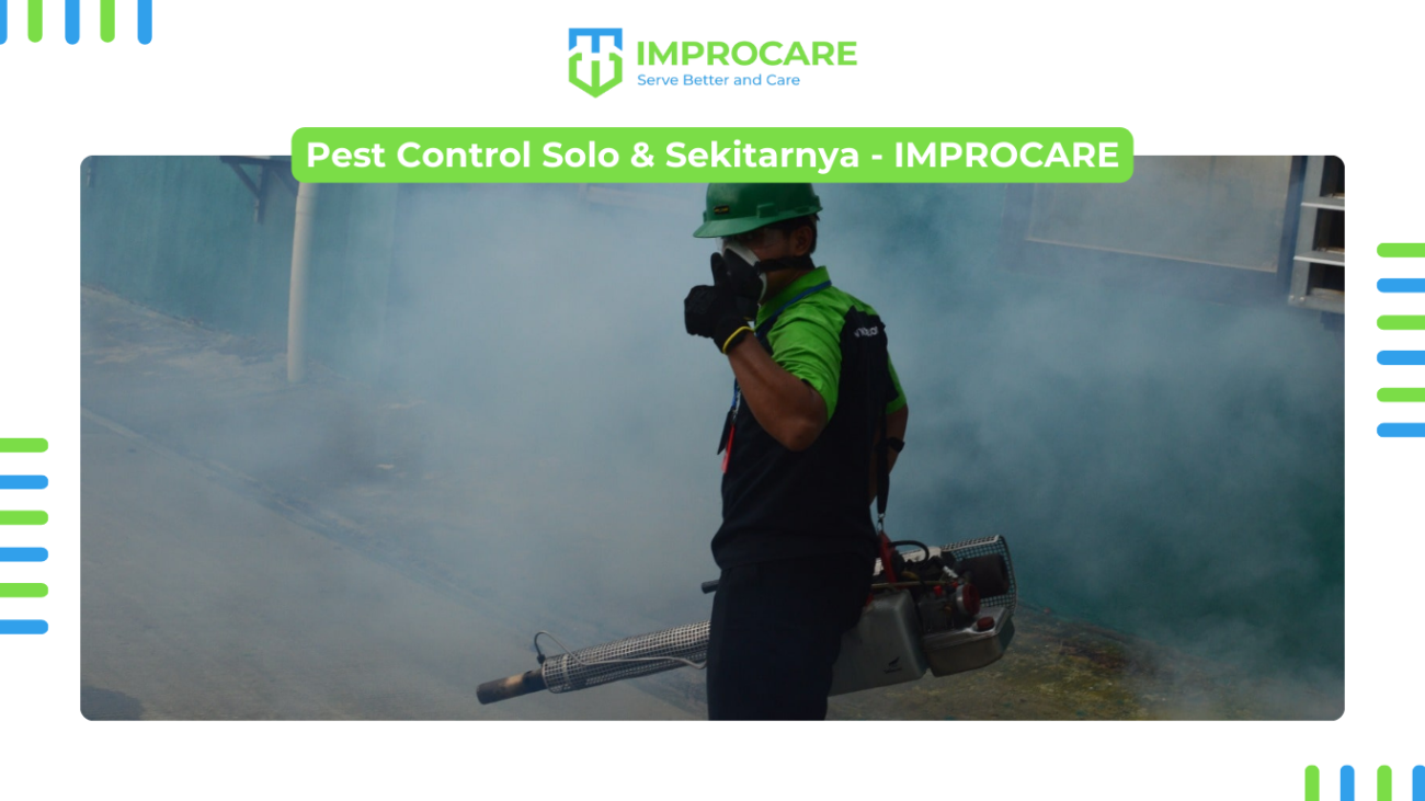 pest control Solo - IMPROCARE
