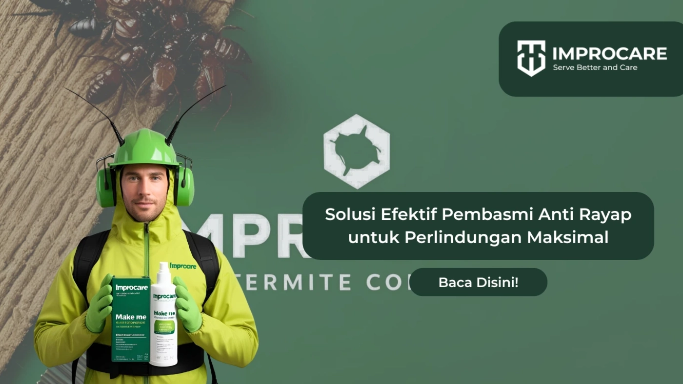 pembasmi anti rayap