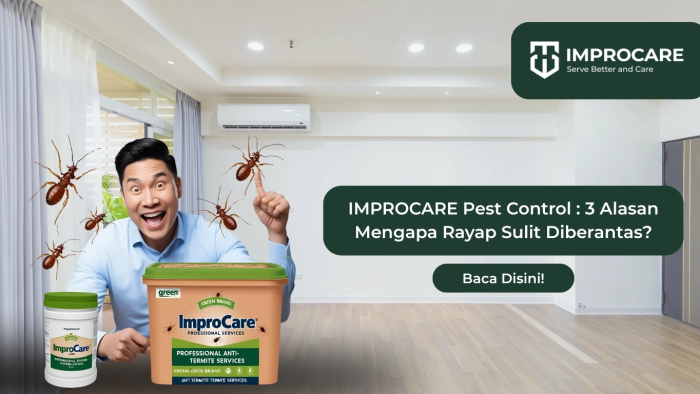 improcare pest control