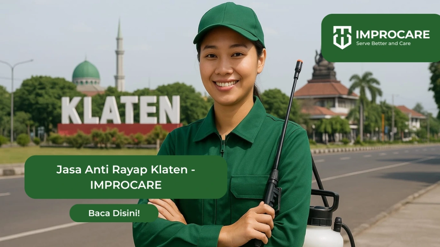 jasa anti rayap klaten