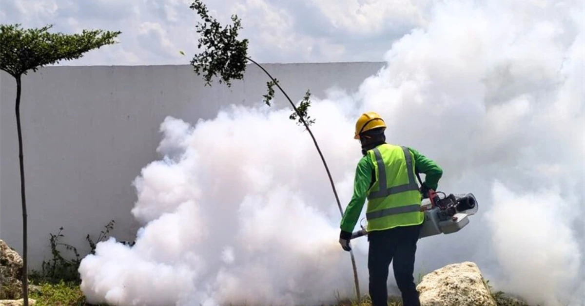 jasa fogging nyamuk