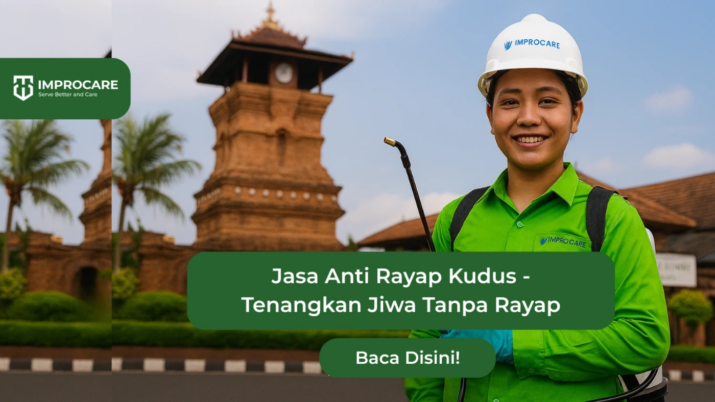 Jasa Anti Rayap Kudus