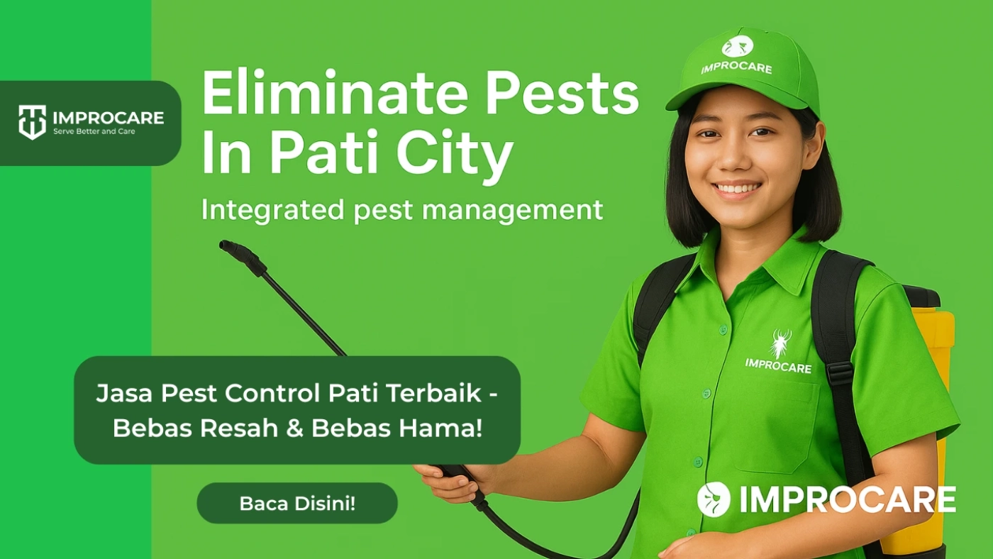 jasa pest control pati