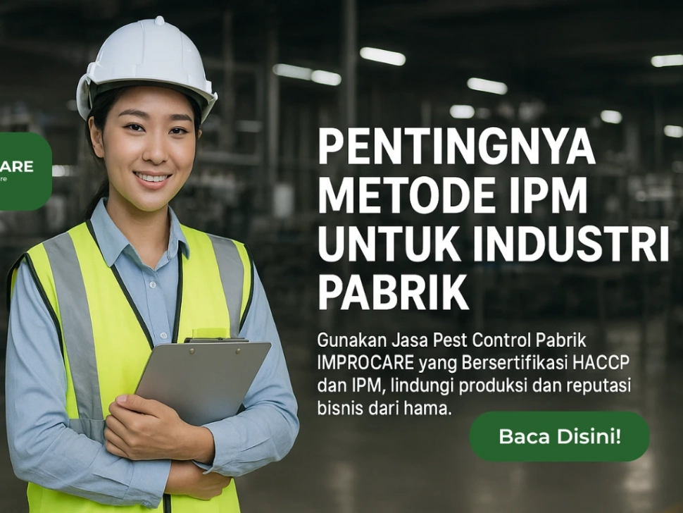 pest control pabrik