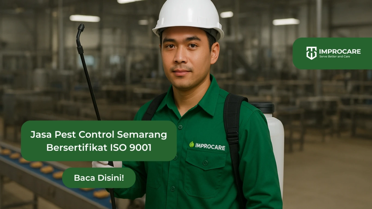 jasa pest control semarang