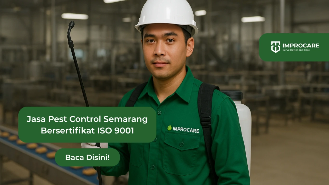jasa pest control semarang