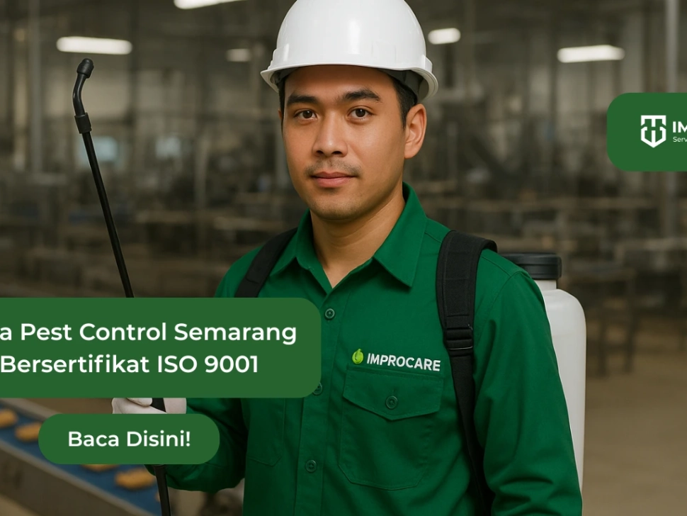 jasa pest control semarang