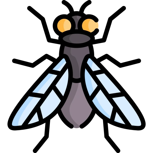 flying insect